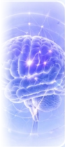 Rapid Memory Recall Synaptic Illustration